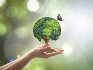 BASIC ENVIRONMENTAL AWARENESS