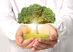 ENVIRONMENTAL POLLUTION PREVENTION AND CONTROL