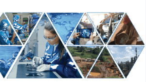 UNDERSTANDING AND IMPLEMENTATION OF RESPONSIBLE BUSINESS ALLIANCE (RBA VERSION 8.0)